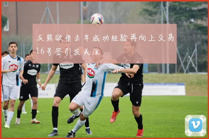 灰熊欲借去年成功经验再向上交易16号签引发关注
